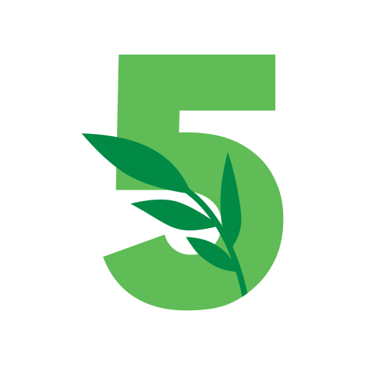 Etape 5 CM