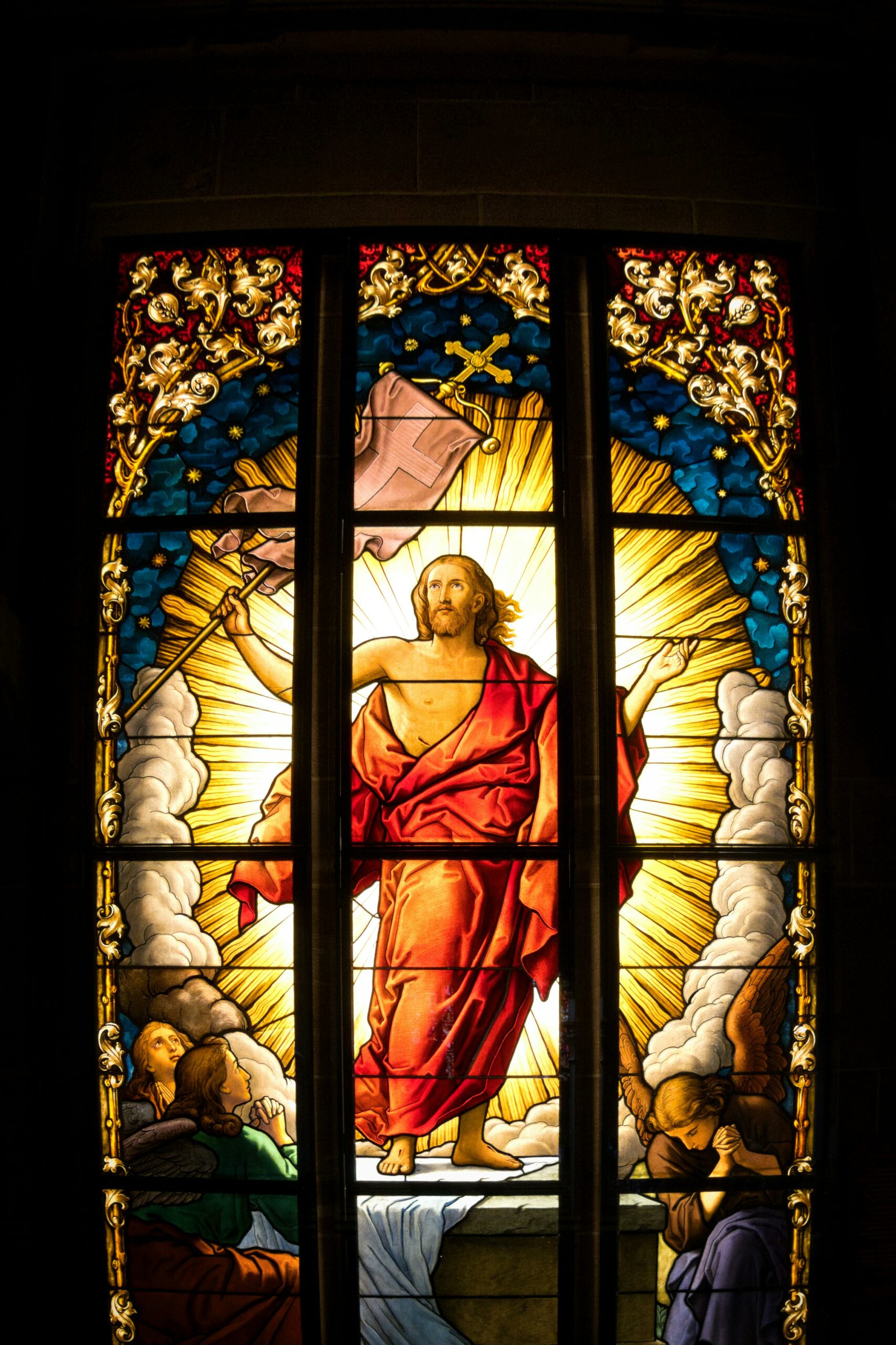 pexels-joerg-hartmann-626385254-35412460